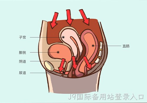 助力女性盆底功能健康发展，J9国际备用站登录入口推出高频评估电灼仪