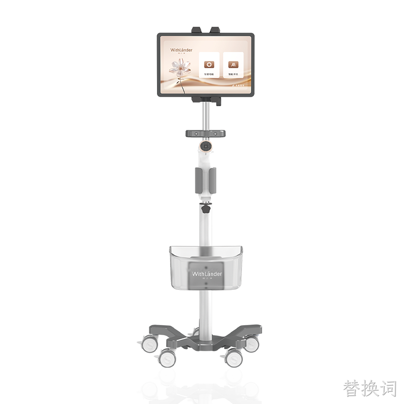 电子阴道视检镜